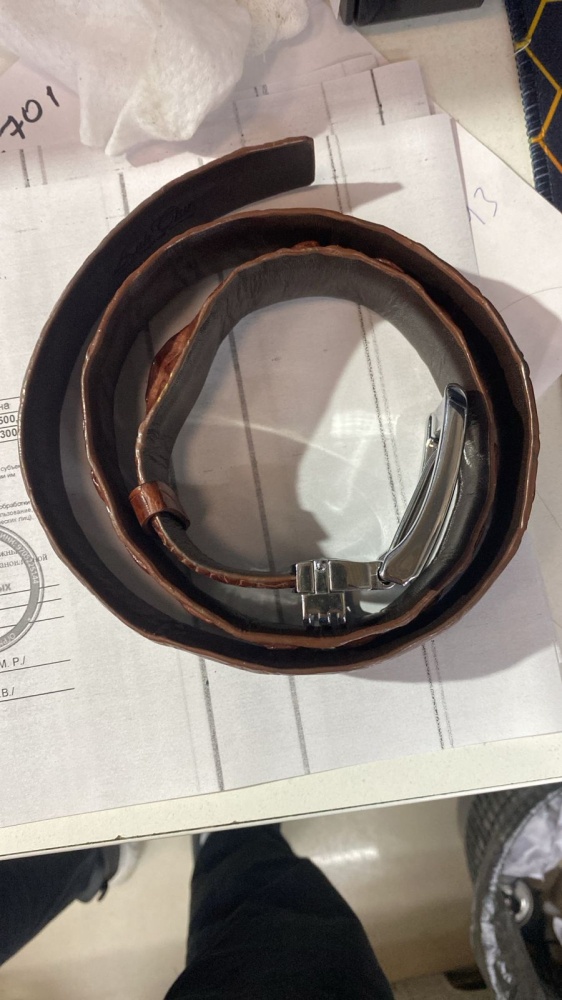 ремень из крокодила