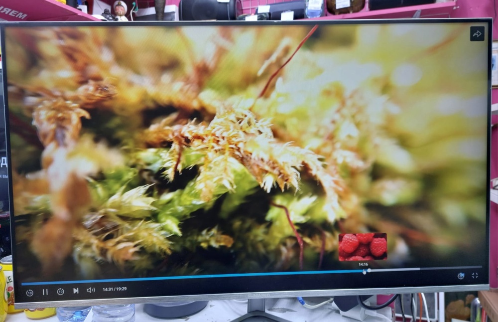 Монитор Sunwind 32"