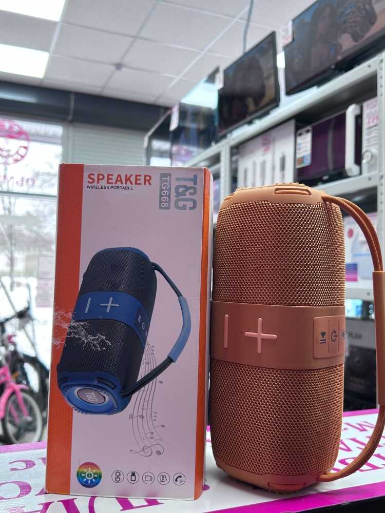 Акустика T&G TG668