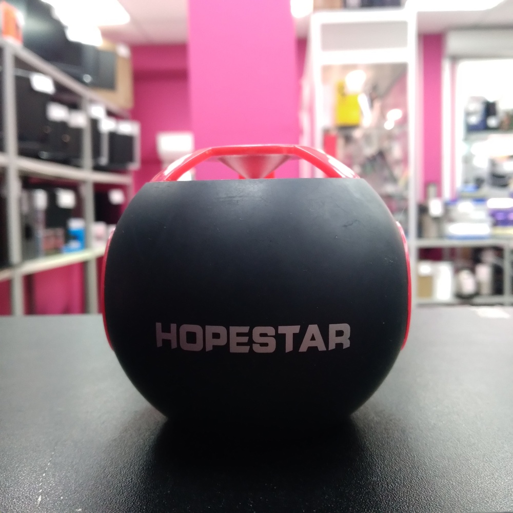 Акустика HopeStar h-46