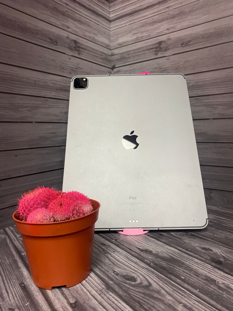Планшет Apple iPad PRO 5 12,9* 2021 512 gb    (A2461)
