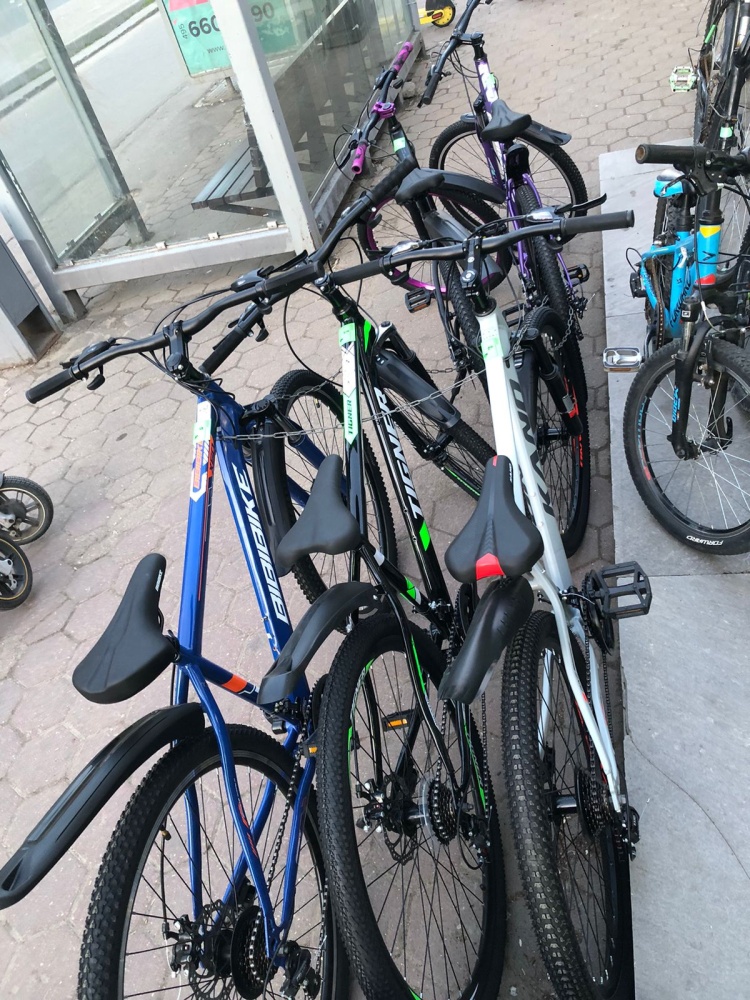 /Велосипед Bibi Bike 29* синий