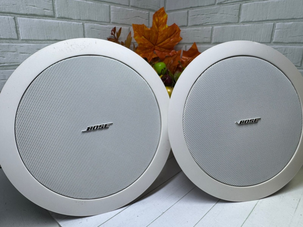 Акустика Bose FreeSpace DS16F 2шт