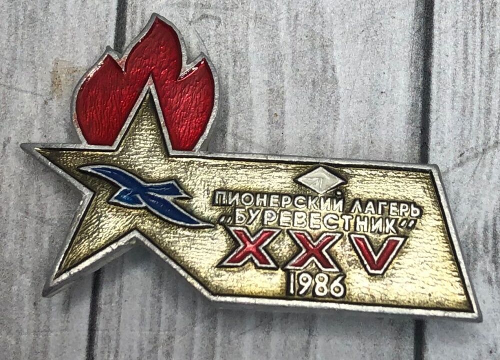 Значок Пионерский лагерь Буревестник 1986