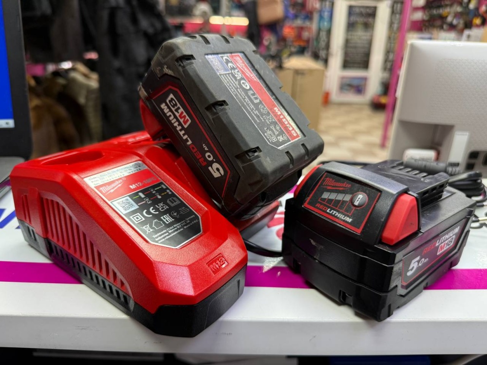 Зарядное + АКБ Milwaukee 18v 5Ah (2шт)