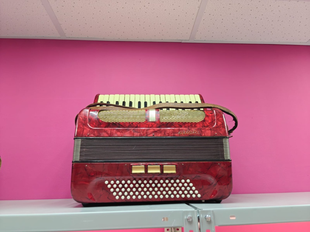 Аккордеон Aviata