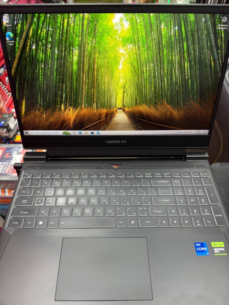 Ноутбук Hasee S8 D62654FH