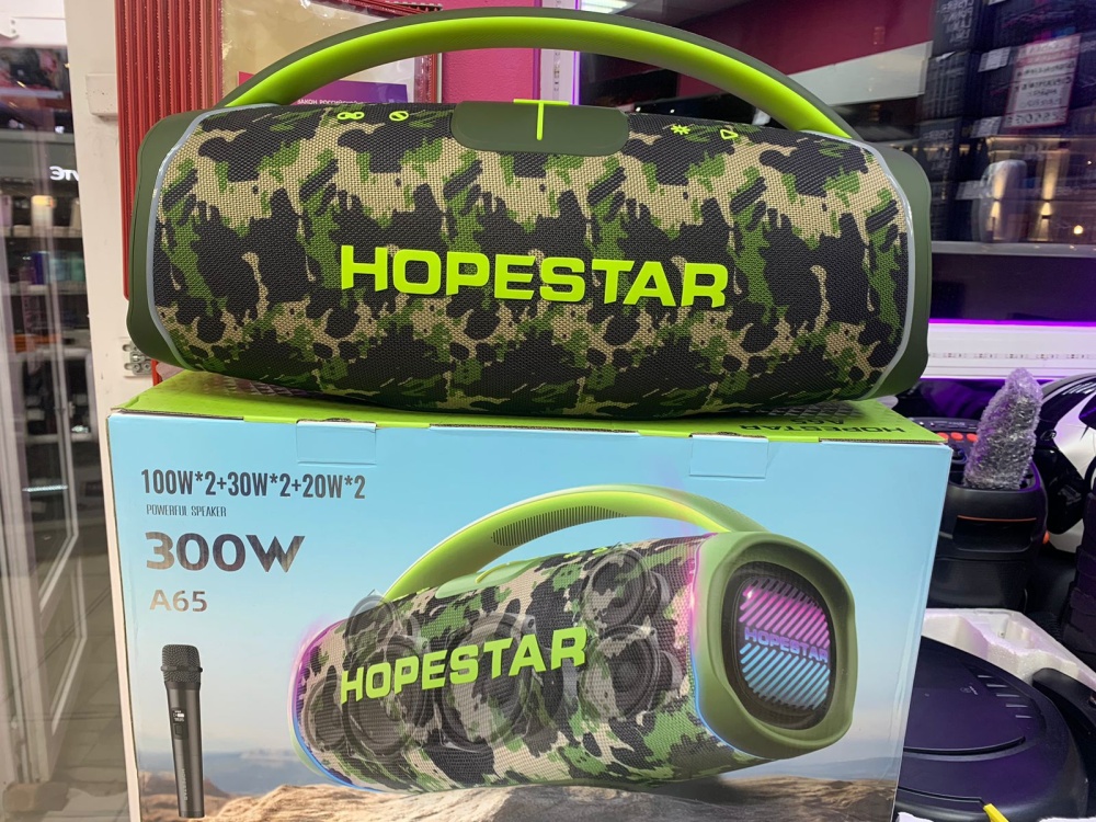 Акустика HopeStar A64 300W