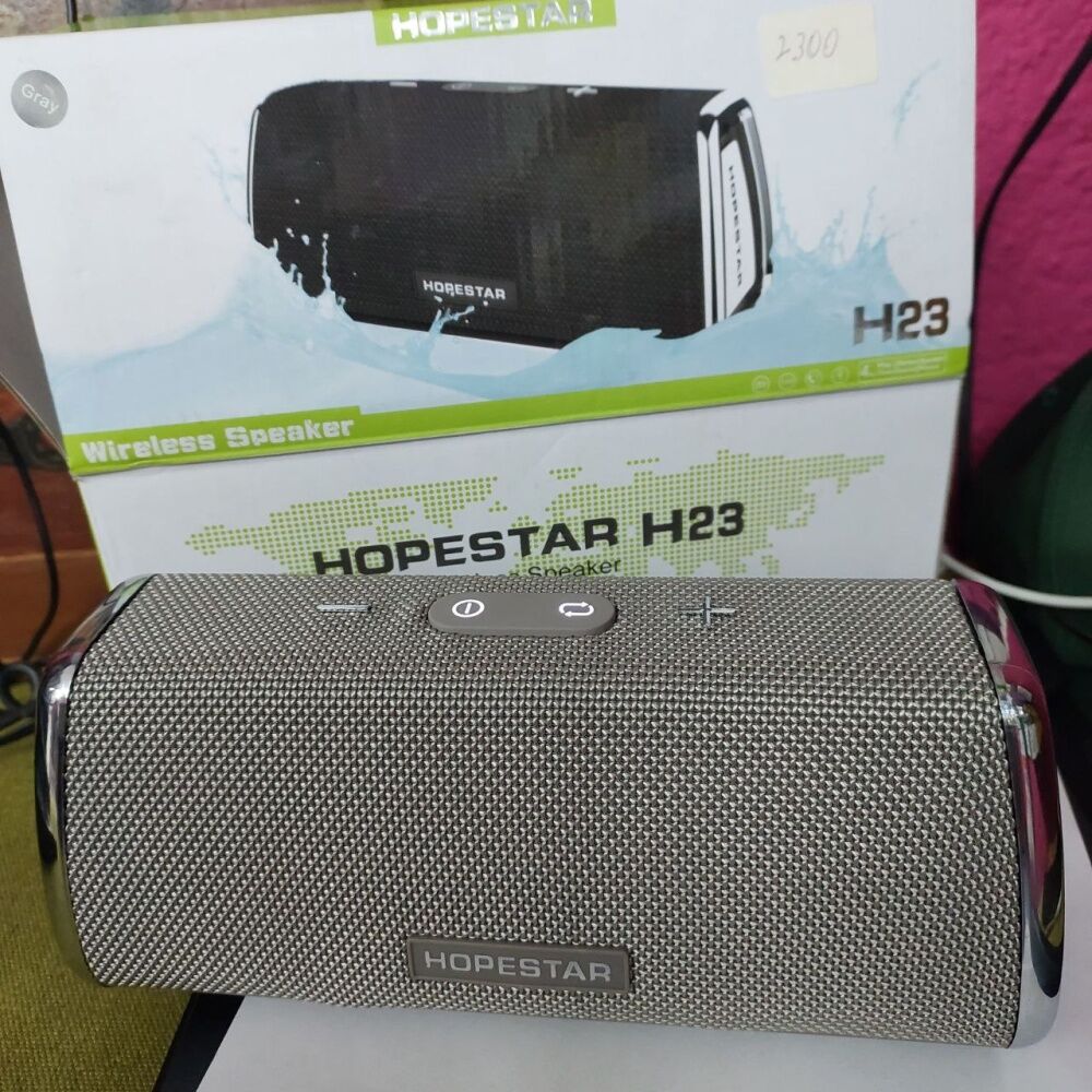 Колонка Hopestar H23